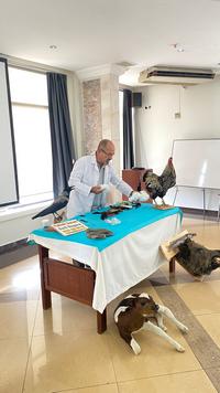 21cd6524-2fce-4b6c-80e0-5c4a0cf031f1