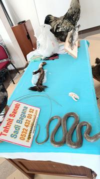 71ddabf7-3429-43d9-8278-21676b0d7593