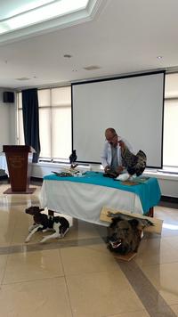 98dedbda-5689-4aaa-8ac0-41f5d494012a